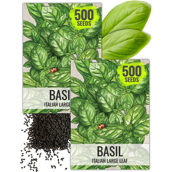 Italian Large Leaf Basil Seeds For Planting (Ocimum basilicum)