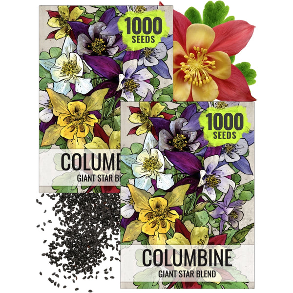 columbine planting seeds Giant Star Mckana's Columbine Seeds For Planting (Aquilegia caerulea) – Seed Needs LLC