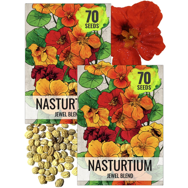 Jewel Mixture Nasturtium Seeds For Planting (Tropaeolum nanum)