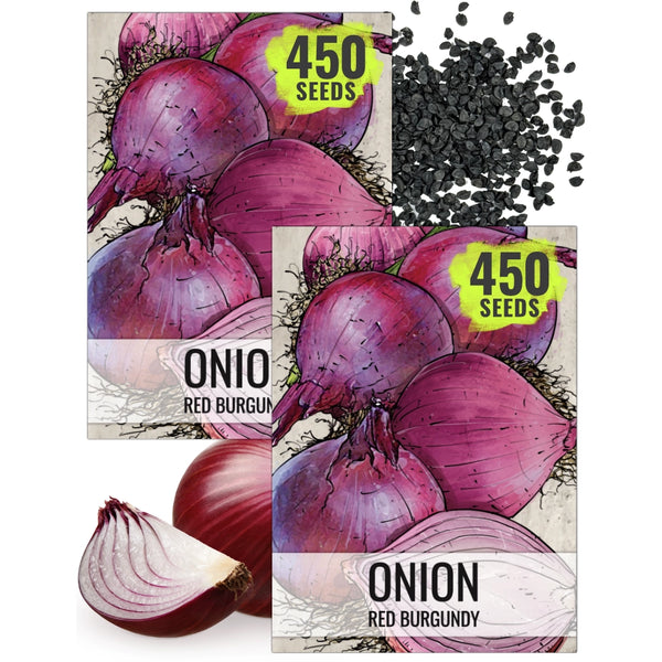 Red Burgundy Onion Seeds For Planting (Allium cepa)