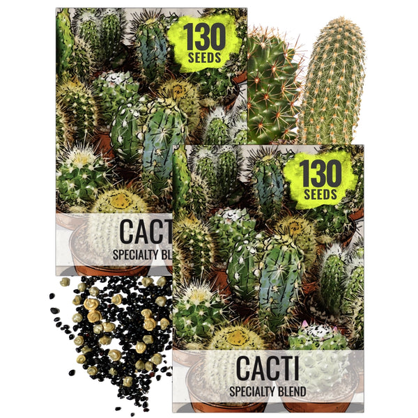 Cacti Seed Blend