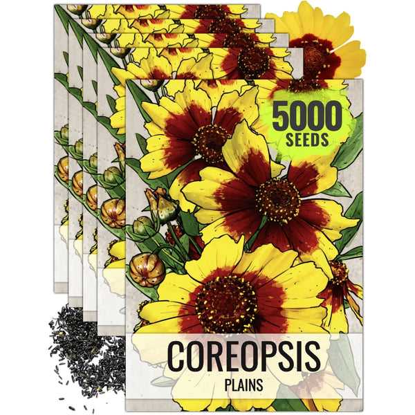 planting coreopsis seeds Coreopsis Plains Seeds For Planting (Coreopsis tinctoria) – Seed Needs LLC