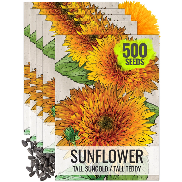 Tall Sungold Sunflower Seeds For Planting (Helianthus annuus)