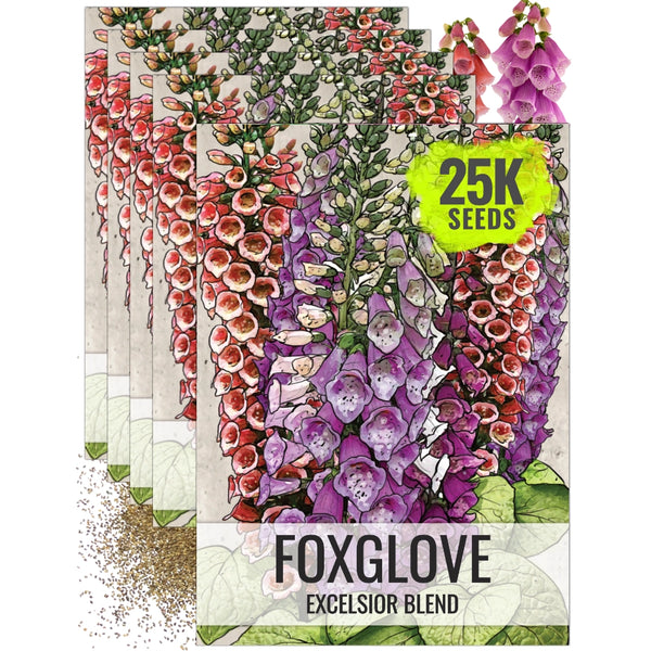 Excelsior Mixture Foxglove Seeds For Planting (Digitalis purpurea)