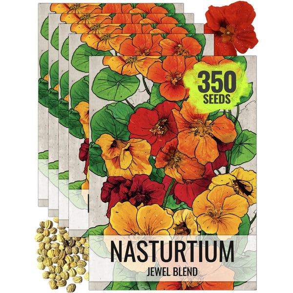 Jewel Mixture Nasturtium Seeds For Planting (Tropaeolum nanum)