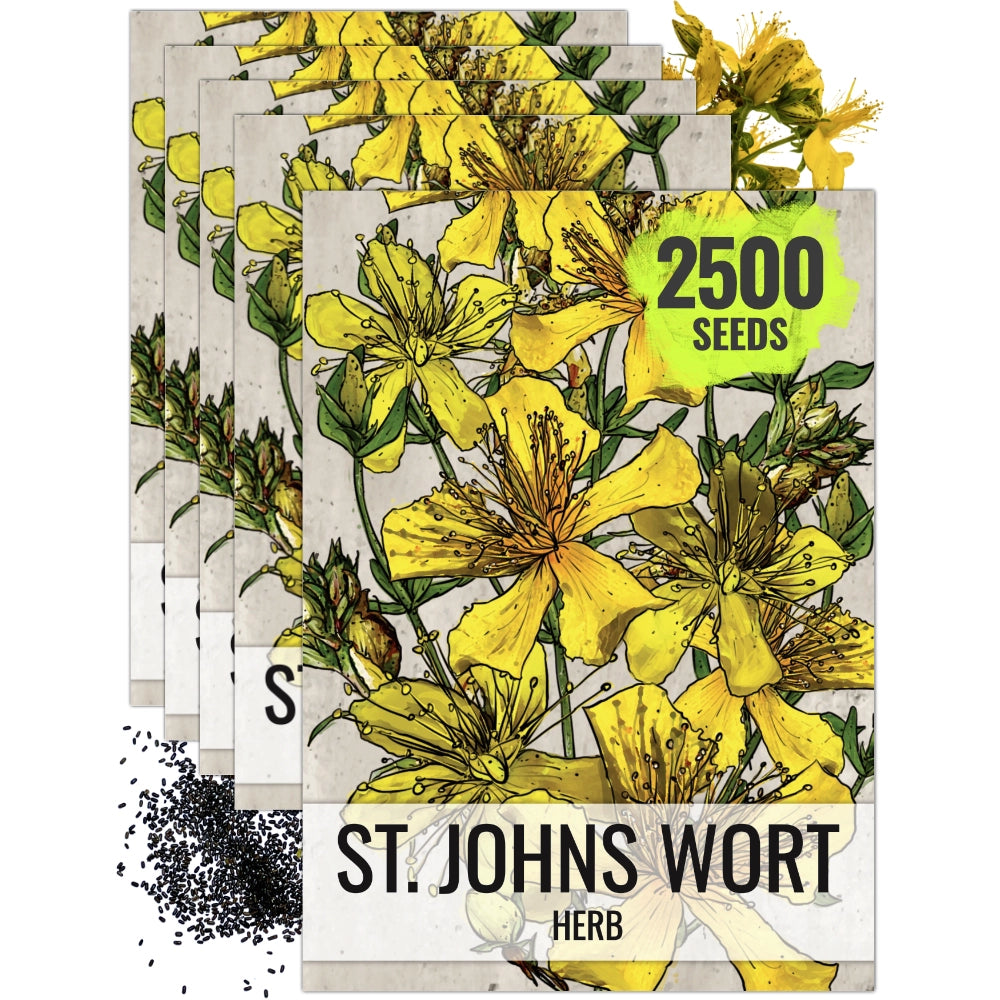 St. Johns Wort Herb Seeds For Planting (Hypericum perforatum)