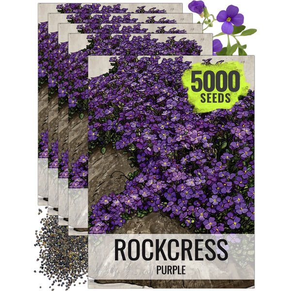 perennial ground cover flower seeds Purple Rockcress Groundcover Seeds For Planting (Aubrieta deltoidea) – Seed Needs LLC