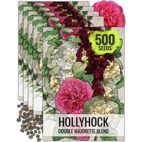 Double Majorette Hollyhock Mixture (Alcea rosea)