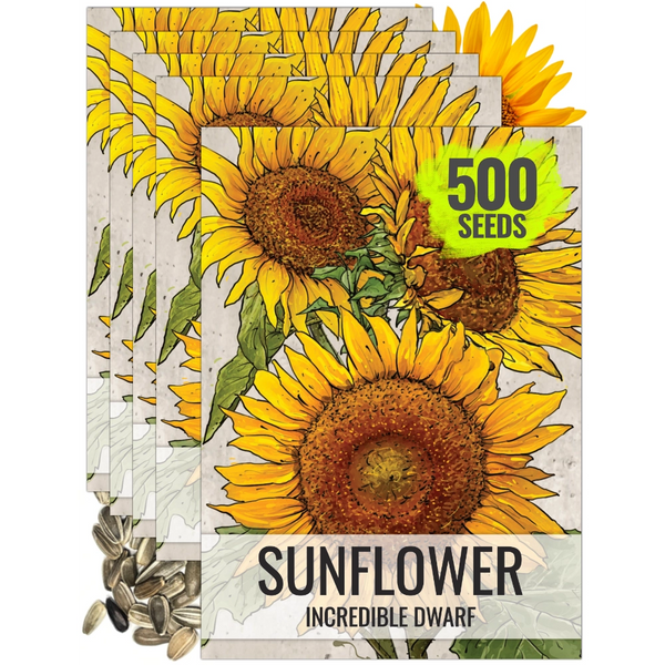Incredible Dwarf Sunflower Seeds For Planting (Helianthus annuus)