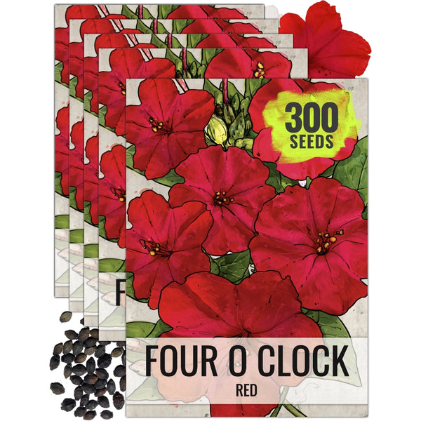Red Four O' Clock Seeds For Planting (Mirabilis jalapa)