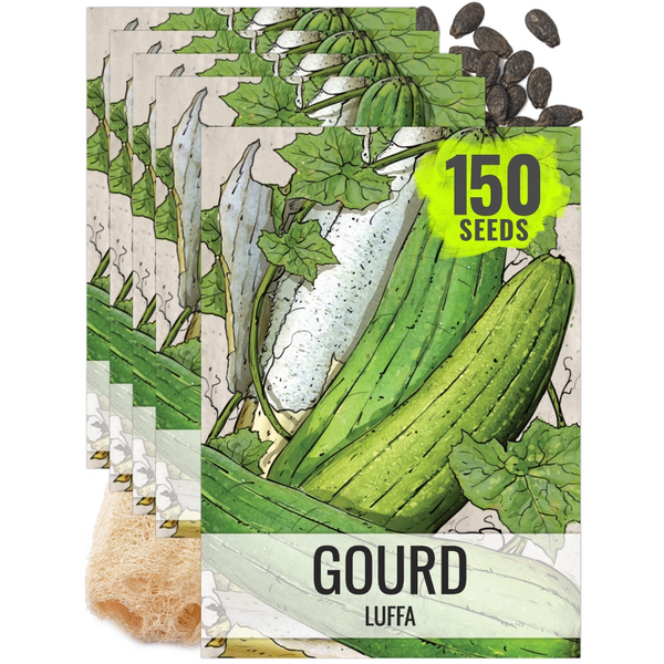 Luffa Gourd Seeds For Planting (Luffa aegyptiaca)