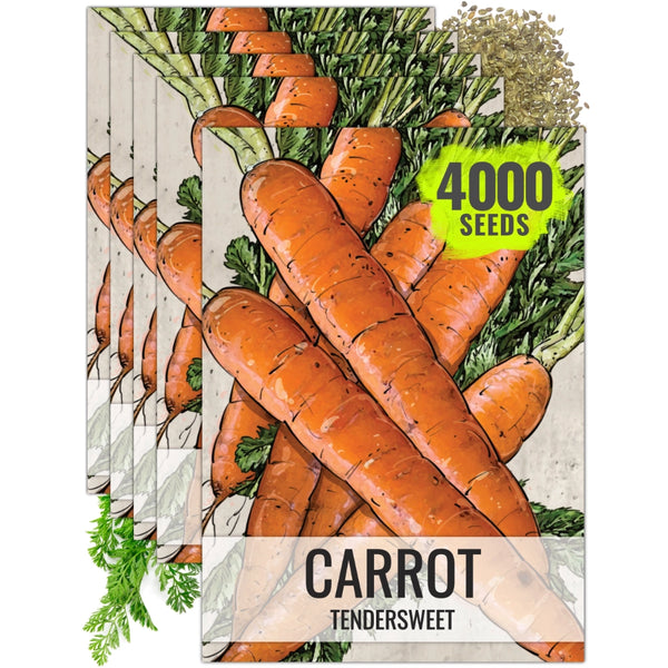 Tendersweet Carrot Seeds For Planting (Daucus carota)