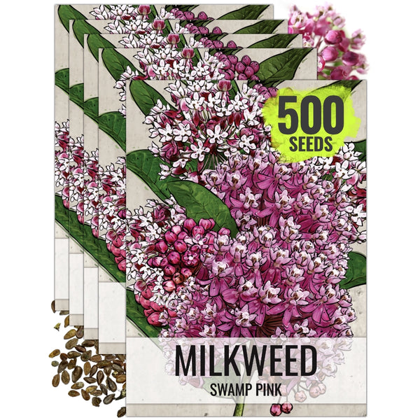 Pink Swamp Milkweed Seeds For Planting (Asclepias incarnata)
