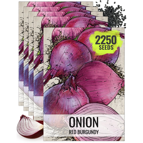 Red Burgundy Onion Seeds For Planting (Allium cepa)