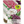 Antique Shades Peony Poppy Seeds For Planting (Papaver paeoniflorum)