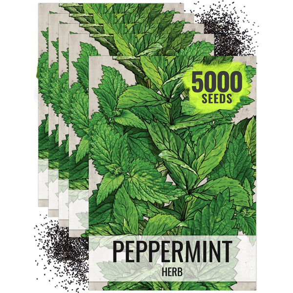 Peppermint Herb Seeds For Planting (Mentha piperita)