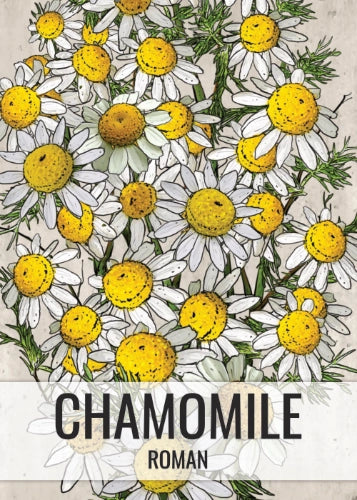 Roman Chamomile Herb Seeds For Planting (Anthemus nobilis)