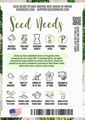Garlic Chives Herb Seeds For Planting (Allium tuberosum)
