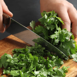 Cilantro Herb Seeds For Planting (Coriandrum sativum)