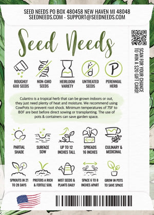 Culantro Herb Seeds For Planting (Eryngium foetidum)
