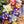 Giant Star, Mckana's Columbine Seeds For Planting (Aquilegia caerulea)