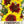 Coreopsis Plains Seeds For Planting (Coreopsis tinctoria)