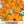 Burning Passion Cosmos Seeds For Planting (Cosmos sulphureus)