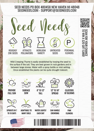 Wild Creeping Thyme Seeds For Planting (Thymus serpyllum)