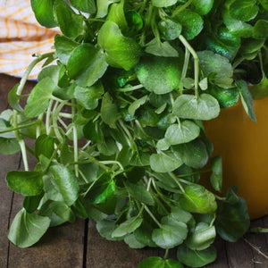 Watercress Herb Seeds For Planting (Nasturtium officinale)