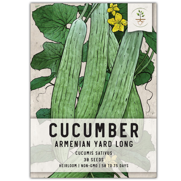 Armenian Yard Long Cucumber Seeds For Planting (Cucumis sativa)