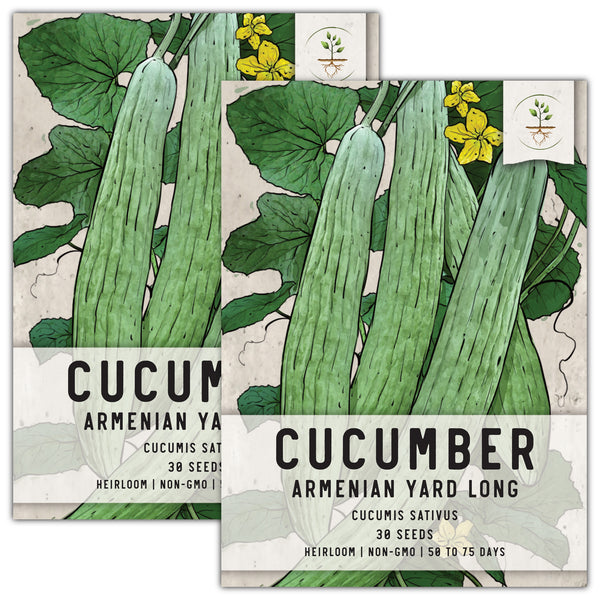 Armenian Yard Long Cucumber Seeds For Planting (Cucumis sativa)