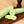Armenian Yard Long Cucumber Seeds For Planting (Cucumis sativa)