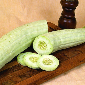 Armenian Yard Long Cucumber Seeds For Planting (Cucumis sativa)