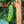 Boston Pickling Cucumber Seeds For Planting (Cucumis sativus)