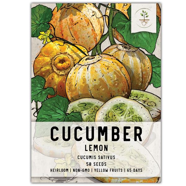 Lemon Cucumber Seeds For Planting (Cucumis sativus)