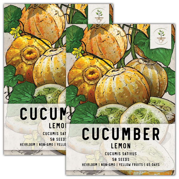 Lemon Cucumber Seeds For Planting (Cucumis sativus)