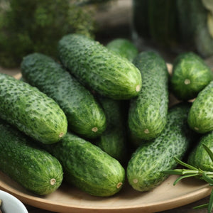 Wisconsin SMR-58 Cucumber Seeds For Planting (Cucumis sativus)