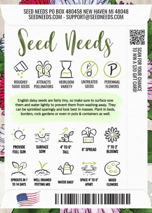 English Daisy Seed Mixture (Bellis perennis)