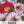 English Daisy Seed Mixture (Bellis perennis)
