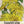 Dandelion Herb Seeds For Planting (Taraxacum officinale)