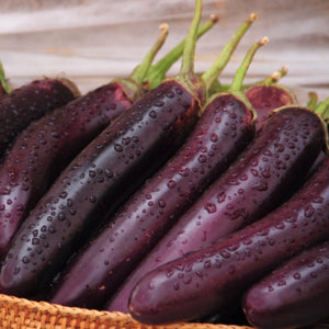 Long Purple Eggplant Seeds For Planting (Solanum melongena)