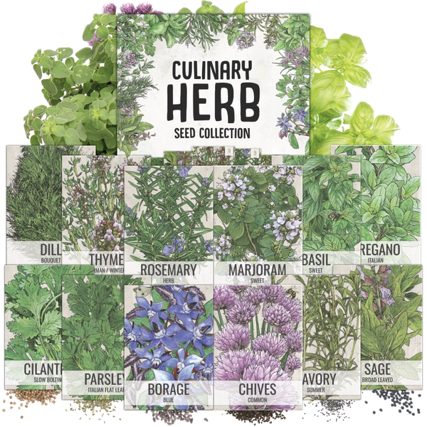 Culinary Herb Seed Collection