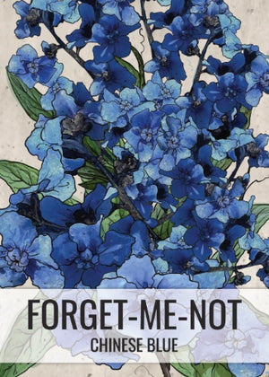 Chinese Forget-Me-Not Seeds For Planting (Cynoglossum amabile)