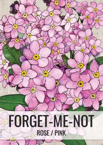 Rose Forget-Me-Not Seeds For Planting (Myosotis alpestris)