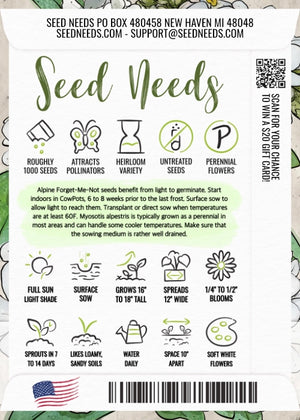 White Forget-Me-Not Seeds For Planting (Myosotis alpestris)