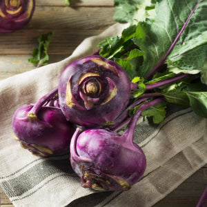 Purple Vienna Kohlrabi Seeds For Planting (Brassica oleracea)