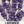 Munstead Lavender Seeds For Planting (Lavandula angustifolia)