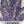 Spike Lavender Seeds For Planting (Lavandula latifolia)