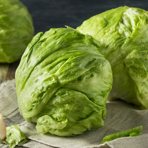 Iceberg Lettuce Seeds For Planting (Lactuca sativa)