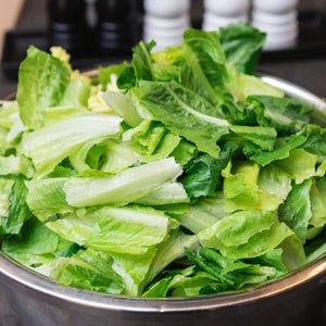 Parris Island Romaine Lettuce Seeds For Planting (Lactuca sativa)